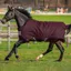 Horseware Amigo Hero Ripstop 50g With Fleece Lining - Fig/Fig